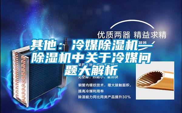 其他：冷媒除濕機—除濕機中關于冷媒問題大解析