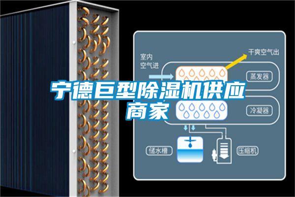 寧德巨型除濕機(jī)供應(yīng)商家