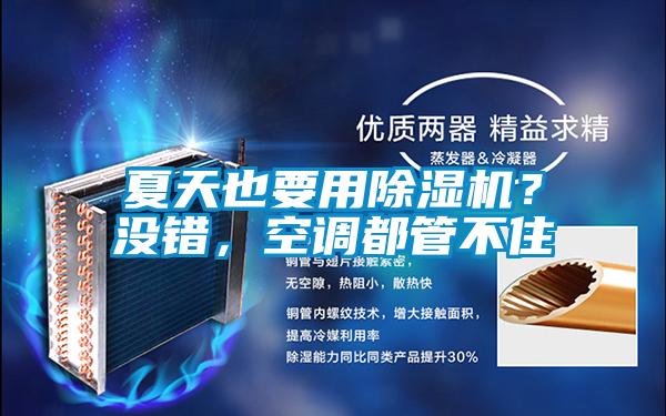 夏天也要用除濕機？沒錯，空調都管不住