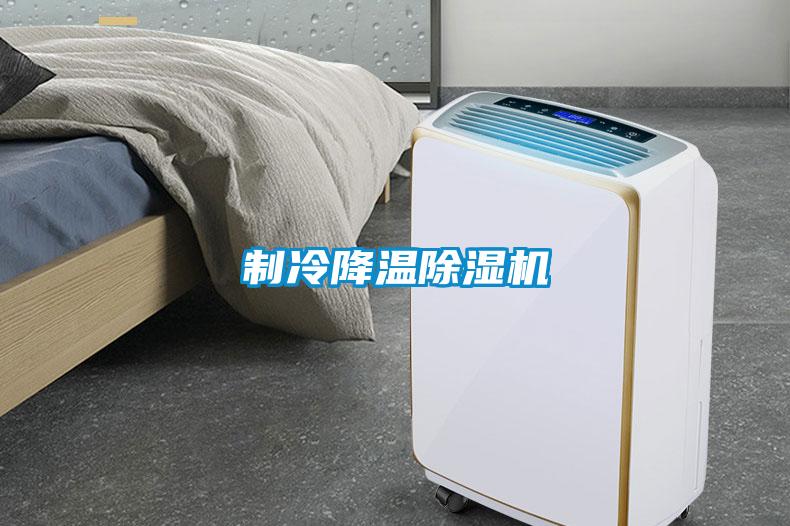 制冷降溫除濕機