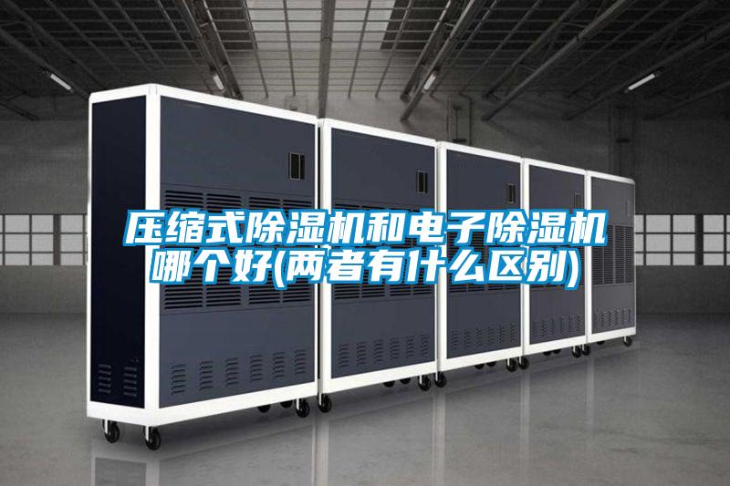 壓縮式除濕機(jī)和電子除濕機(jī)哪個(gè)好(兩者有什么區(qū)別)