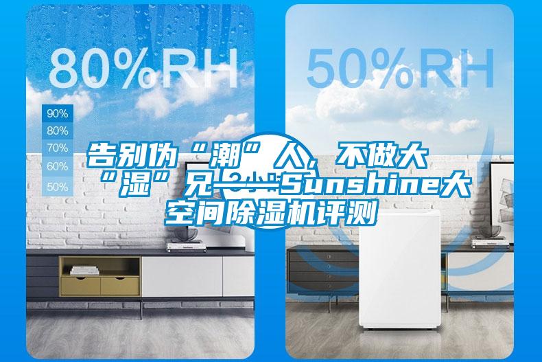告別偽“潮”人，不做大“濕”兄——Sunshine大空間除濕機評測