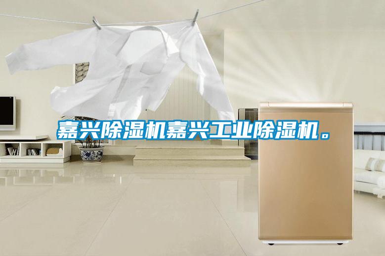 嘉興除濕機嘉興工業除濕機。