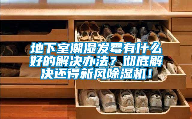 地下室潮濕發(fā)霉有什么好的解決辦法？徹底解決還得新風(fēng)除濕機(jī)！