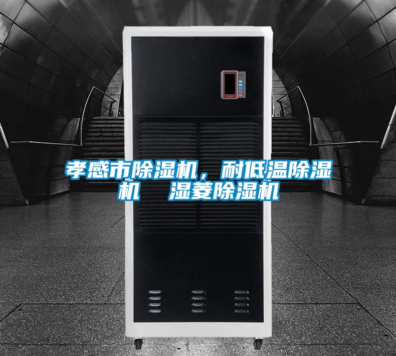 孝感市除濕機(jī)，耐低溫除濕機(jī)  濕菱除濕機(jī)