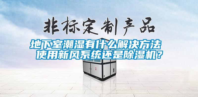 地下室潮濕有什么解決方法 使用新風系統還是除濕機？