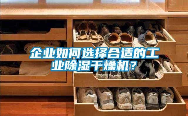 企業(yè)如何選擇合適的工業(yè)除濕干燥機(jī)？