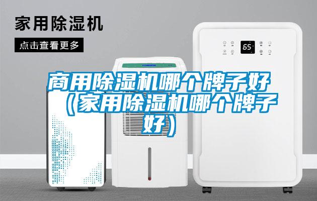 商用除濕機哪個牌子好（家用除濕機哪個牌子好）