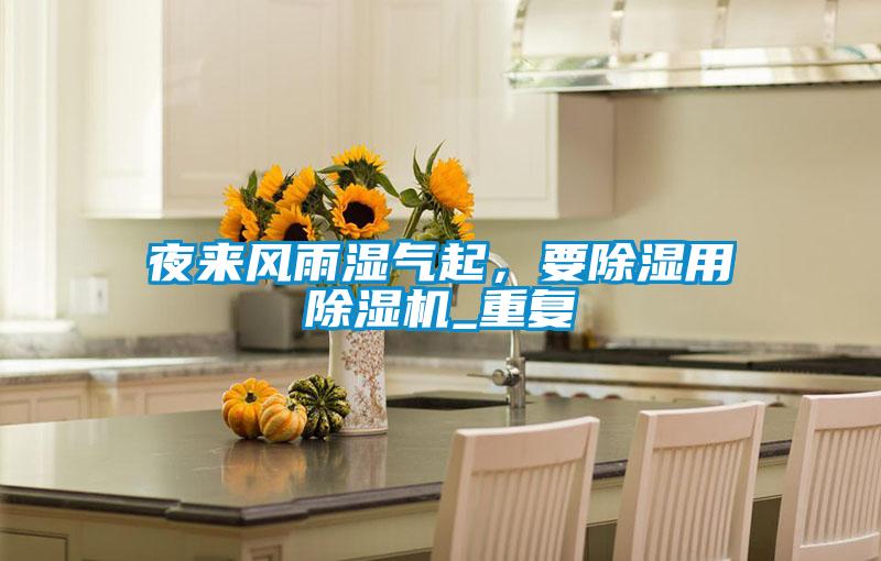 夜來風雨濕氣起，要除濕用除濕機_重復