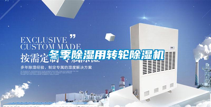 冬季除濕用轉(zhuǎn)輪除濕機(jī)
