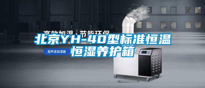 北京YH-40型標準恒溫恒濕養護箱