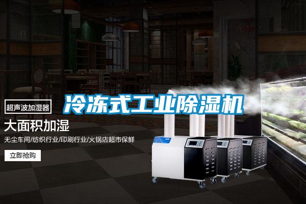 冷凍式工業(yè)除濕機(jī)