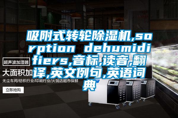 吸附式轉輪除濕機,sorption dehumidifiers,音標,讀音,翻譯,英文例句,英語詞典