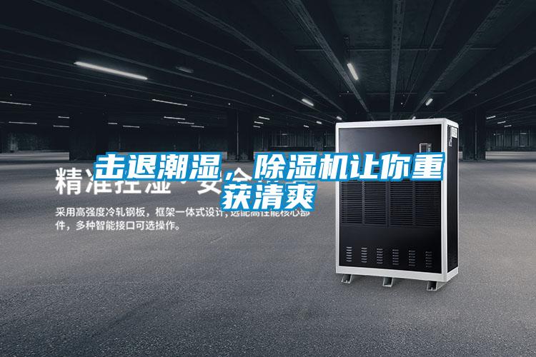 擊退潮濕，除濕機(jī)讓你重獲清爽
