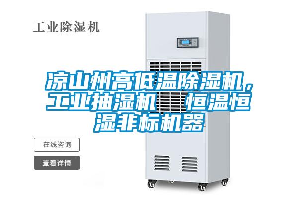 涼山州高低溫除濕機，工業抽濕機  恒溫恒濕非標機器