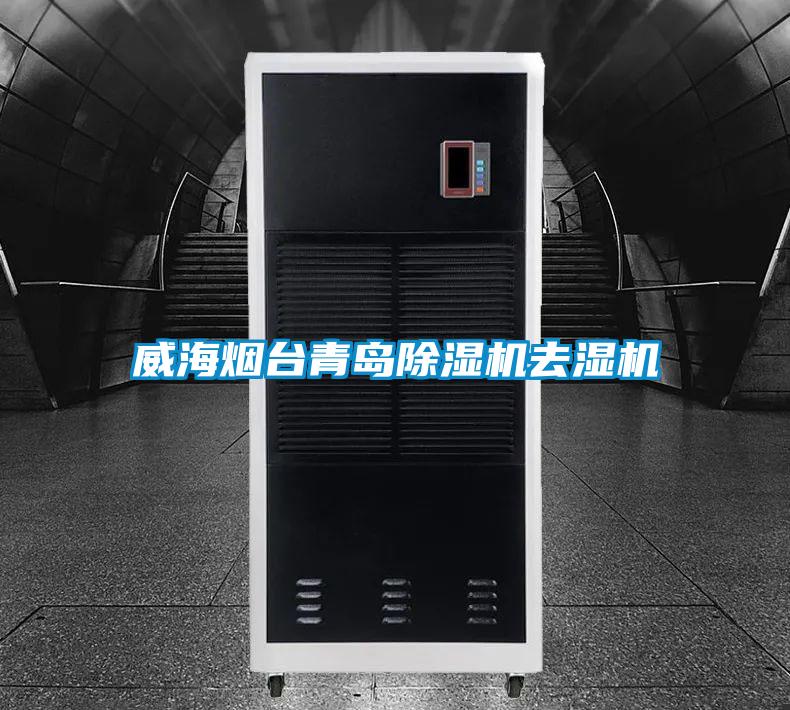 威海煙臺(tái)青島除濕機(jī)去濕機(jī)