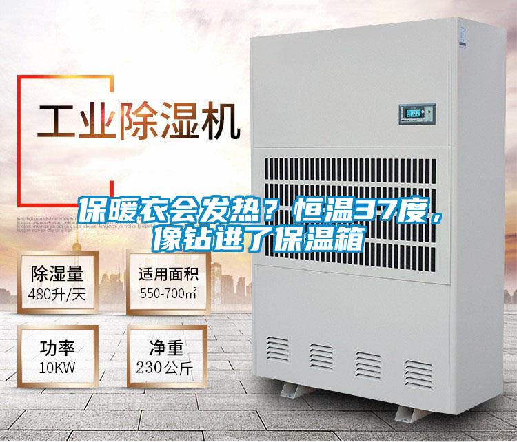 保暖衣會發熱？恒溫37度，像鉆進了保溫箱