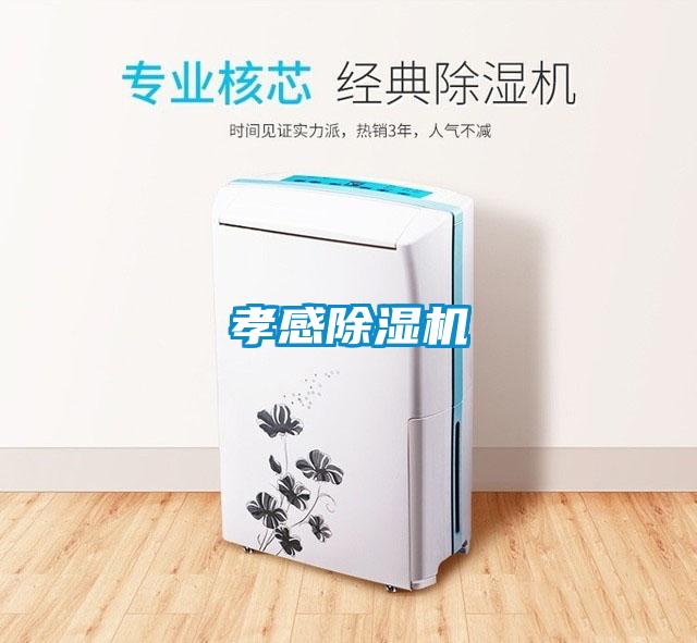 孝感除濕機(jī)