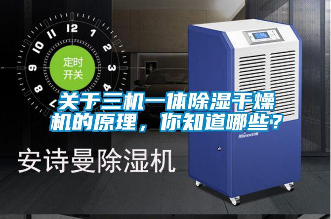 關于三機一體除濕干燥機的原理，你知道哪些？