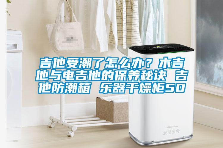 吉他受潮了怎么辦？木吉他與電吉他的保養秘訣 吉他防潮箱 樂器干燥柜50