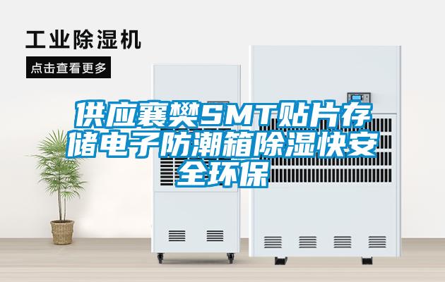 供應襄樊SMT貼片存儲電子防潮箱除濕快安全環保