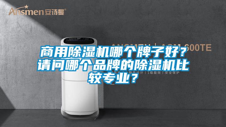 商用除濕機哪個牌子好？請問哪個品牌的除濕機比較專業？