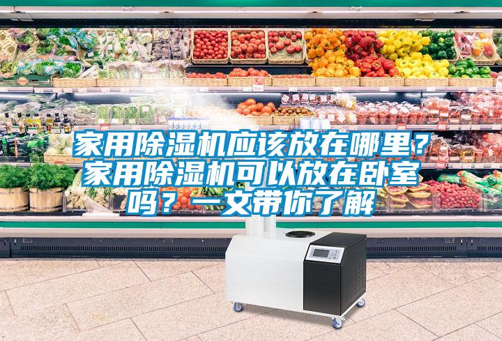 家用除濕機應該放在哪里？家用除濕機可以放在臥室嗎？一文帶你了解