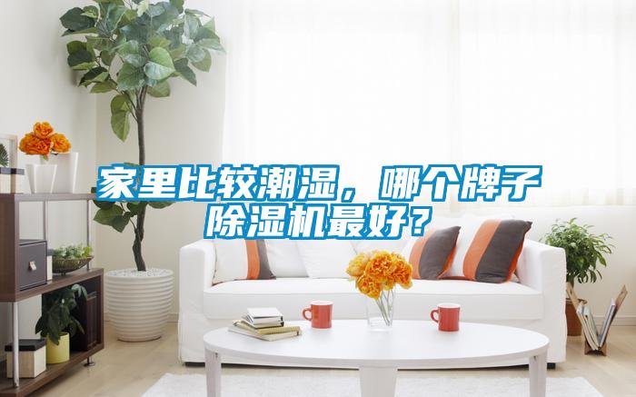 家里比較潮濕，哪個牌子除濕機最好？