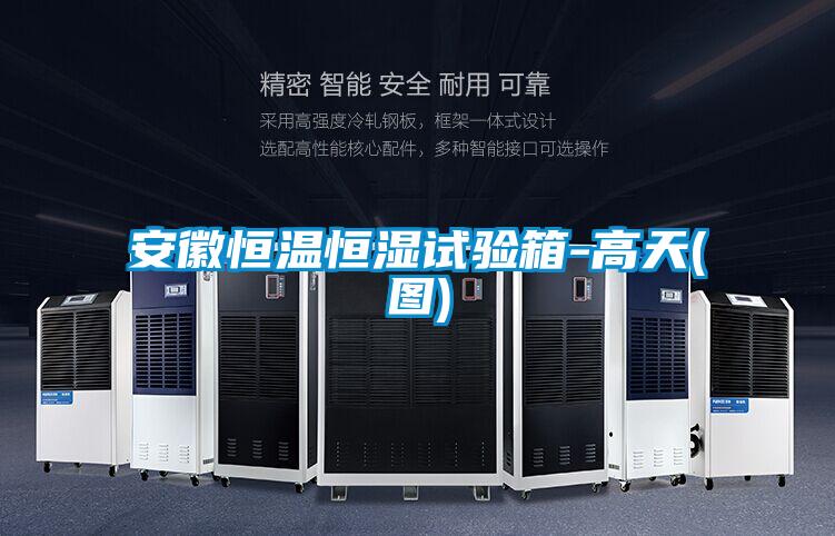 安徽恒溫恒濕試驗箱-高天(圖)