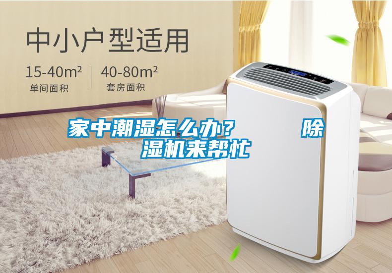 家中潮濕怎么辦？    除濕機來幫忙