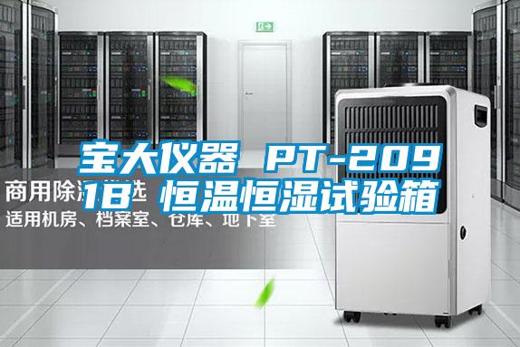 寶大儀器 PT-2091B 恒溫恒濕試驗(yàn)箱