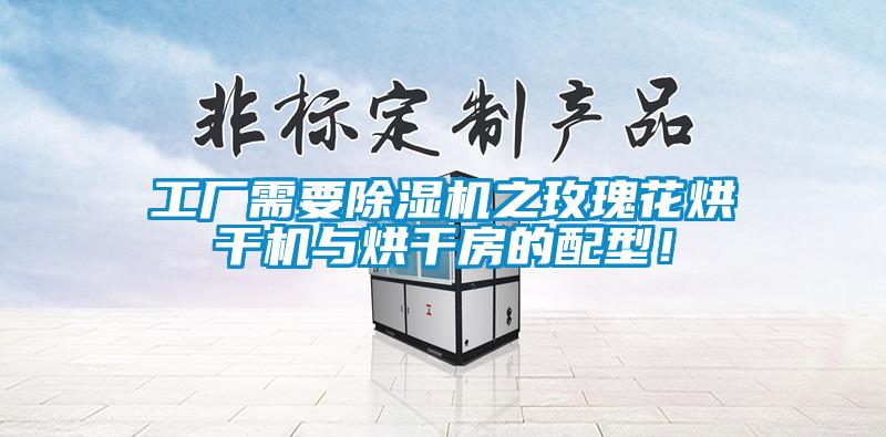 工廠需要除濕機(jī)之玫瑰花烘干機(jī)與烘干房的配型!