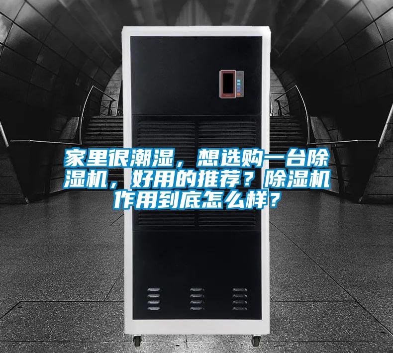 家里很潮濕，想選購(gòu)一臺(tái)除濕機(jī)，好用的推薦？除濕機(jī)作用到底怎么樣？