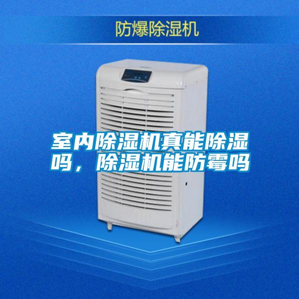 室內除濕機真能除濕嗎，除濕機能防霉嗎
