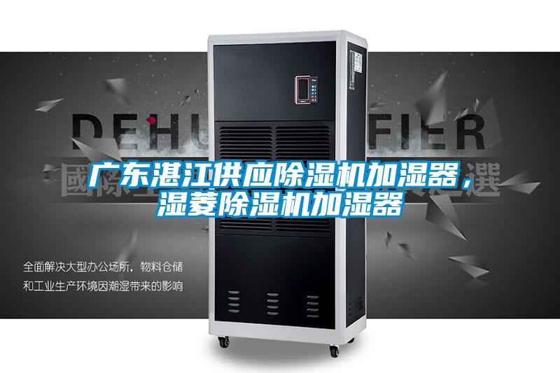 廣東湛江供應(yīng)除濕機(jī)加濕器,濕菱除濕機(jī)加濕器
