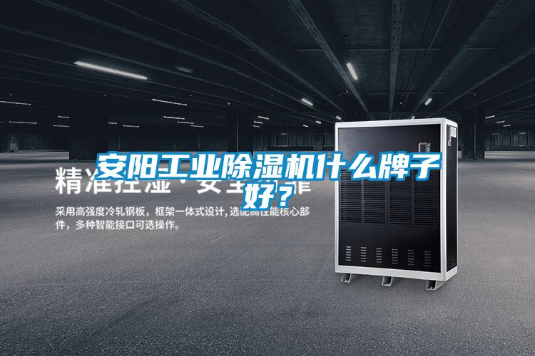 安陽工業(yè)除濕機什么牌子好？