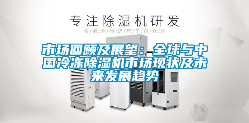 市場回顧及展望：全球與中國冷凍除濕機市場現狀及未來發展趨勢