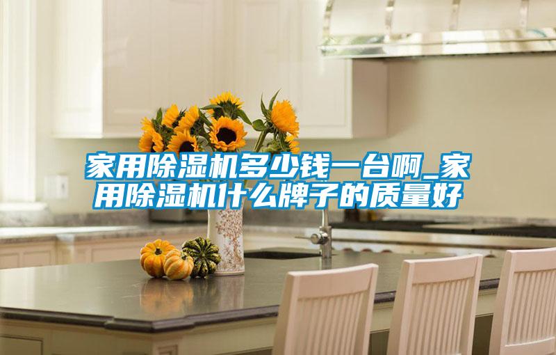 家用除濕機多少錢一臺啊_家用除濕機什么牌子的質(zhì)量好