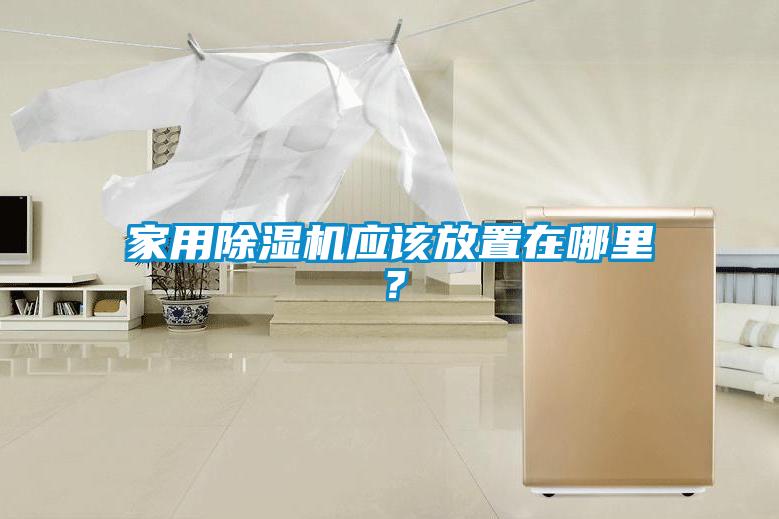 家用除濕機應該放置在哪里？